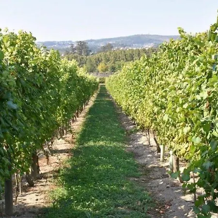 Casa Ponte De Espindo * Lousada