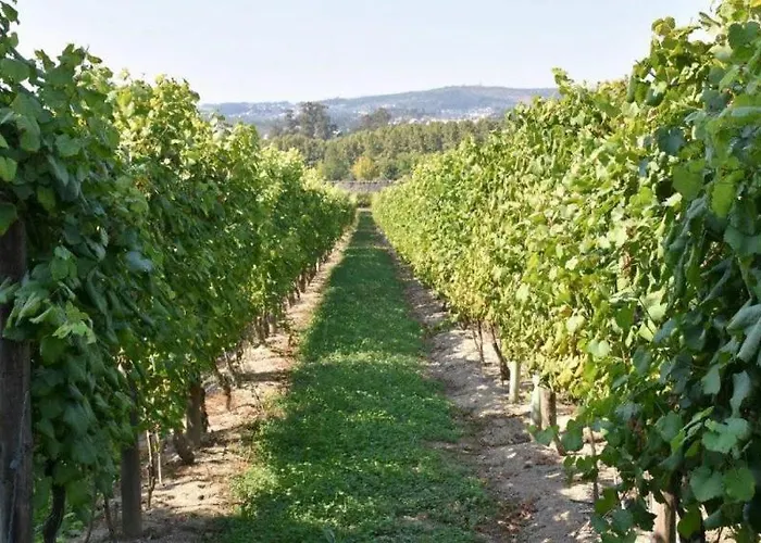 Casa Ponte De Espindo * Lousada